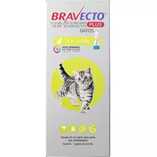 Antipulgas Msd Bravecto Plus Gatos De 1,2 A 2,8 Kg 112,5mg