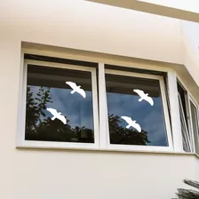 Adesivo Pássaro Evita Trombada Em Muros De Blindex Casa