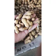 Semilla De Cacahuate Para Sembrar Con Cascara 1 Kg Natural 