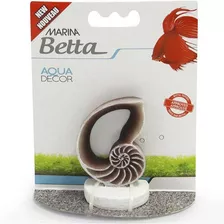Enfeite Marina Betta Sea Shell