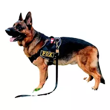 Arnes K9 Breeder Pastor Aleman