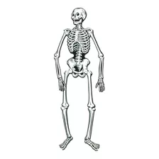 Esqueletos Articulados Beistle, 22 Pulgadas, Blanco / Negro