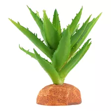 Woledoe Plantas De Aloe Vera, Decoracin De Reptiles Para Ter