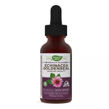 Nature's Way Premium Formula Echinacea-goldenseal, 250 Mg Po