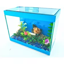 Aquário 20x10x15cm Retangular Azul Decorado Decoração Peixes