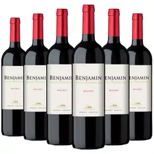 Vino Benjamin Nieto Senetiner Malbec Caja X6 750ml 01almacen