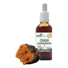 Hongo Chaga - Extracto-tintura 100ml Con Gotero Incluido