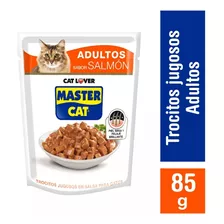 Alimento Húmedo Gato Master Cat Salmón 6 Sobresx 85gr