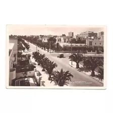 Antigua Postal Casablanca Marruecos 1939 Palmeras 530 B3