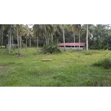 Vendo Esta Finca De 800 Tareas En Monte Plata