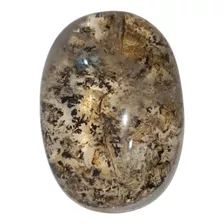 Pedra Dendrita Natural Cristal Quartzo Precioso Raro 43,48ct