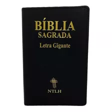 Biblia Sagrada Letra Gigante Ntlh Preta Com Indice Luxo