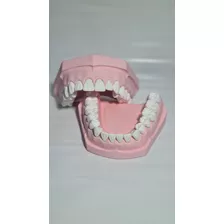 Macro Arcada Dc - Dente Removível - Estudo Odontológico
