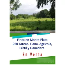 #deventa: Terreno En Monte Plata Con Pronto Acceso Al Batey Y De La Jagua. Gran Oportunidadd De Inversión. Terreno Agrícola, Frutal, Fértil Y Llano. 157,183.55 Metros Cuadrado