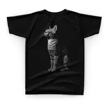 Camiseta Camisa Gato Cat Cinza Animal Banco 3d - Y16