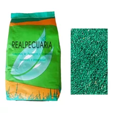 Sementes De Grama Pensacola Para 200 M2 (1 Kg)