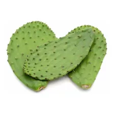 1 Kilo De Hojas De Nopal Cactus 100% Orgánico Natural