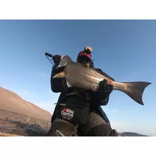 Clases De Pesca Deportiva Y Guia