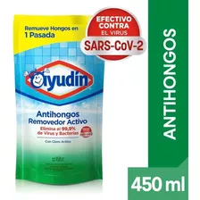 Limpiador Antihongo Removedor Cloro Activo Recarga X450 Ml