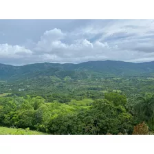 Vendo Hermosa Finca De 1,100 Tareas En Villa Altagracia Ubicada En La Localidad De Blanco