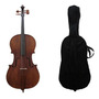 Primera imagen para búsqueda de violoncello