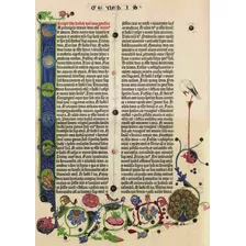 Lienzo Canvas Página Latín Biblia De Gutenberg 1455 Génesis