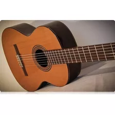 Guitarra Española De Estudio Paco Castillo 203 + Case Duro