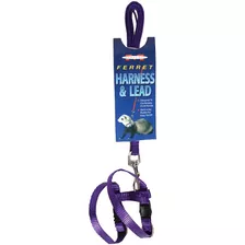 Marshall Pet Products Arnes De Huron Y Plomo Purpura, 4