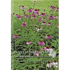 Plantas Medicinais No Brasil: Nativas E Exóticas, De Harri Lorenzi. Editora Instituto Plantarum, Capa Mole Em Português