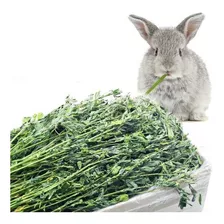 Heno Alfalfa Seco Para Conejos Por 2 Kilos.