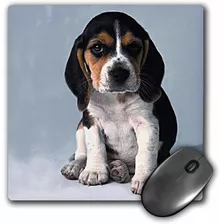 Mouse Pad Dibujo Cachorro Beagle 8 X 8 Pulgadas