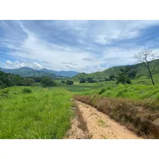 Oportunidad De Inversión Con Alta Plusvalía. Rancho Rústico De 10 Hectáreas En Villa Corzo, Chiapas