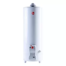 Rheem Functional Tpg120gnrh Termotanque Multigas Color Blanco 120l