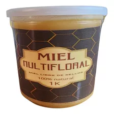 Miel Multifloral 100% Natural Del Sur De Chile