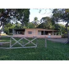 Hato En Venta En Elorza, Apure