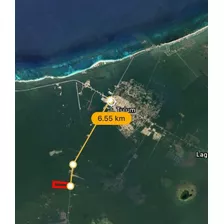 Terreno En Venta De 34 Hectáreas En Carretera Tulum Cobá, Tulum, Q, Roo