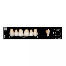 Dientes Vivodent Ivoclar Color 4 A 410 Novacekdental