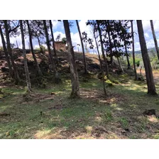 Lindo Lote En Venta En La Vereda La Enea De San Vicente Antioquia