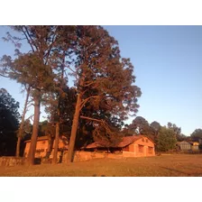 Cabaña En Tapalpa En Terreno De 1 Hectárea 2 Cabañas 