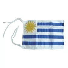 Bandera Uruguaya 20x30 Nautico