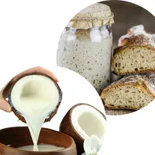 Kefir Leite De Coco + Levain Fermento Natural Ativador