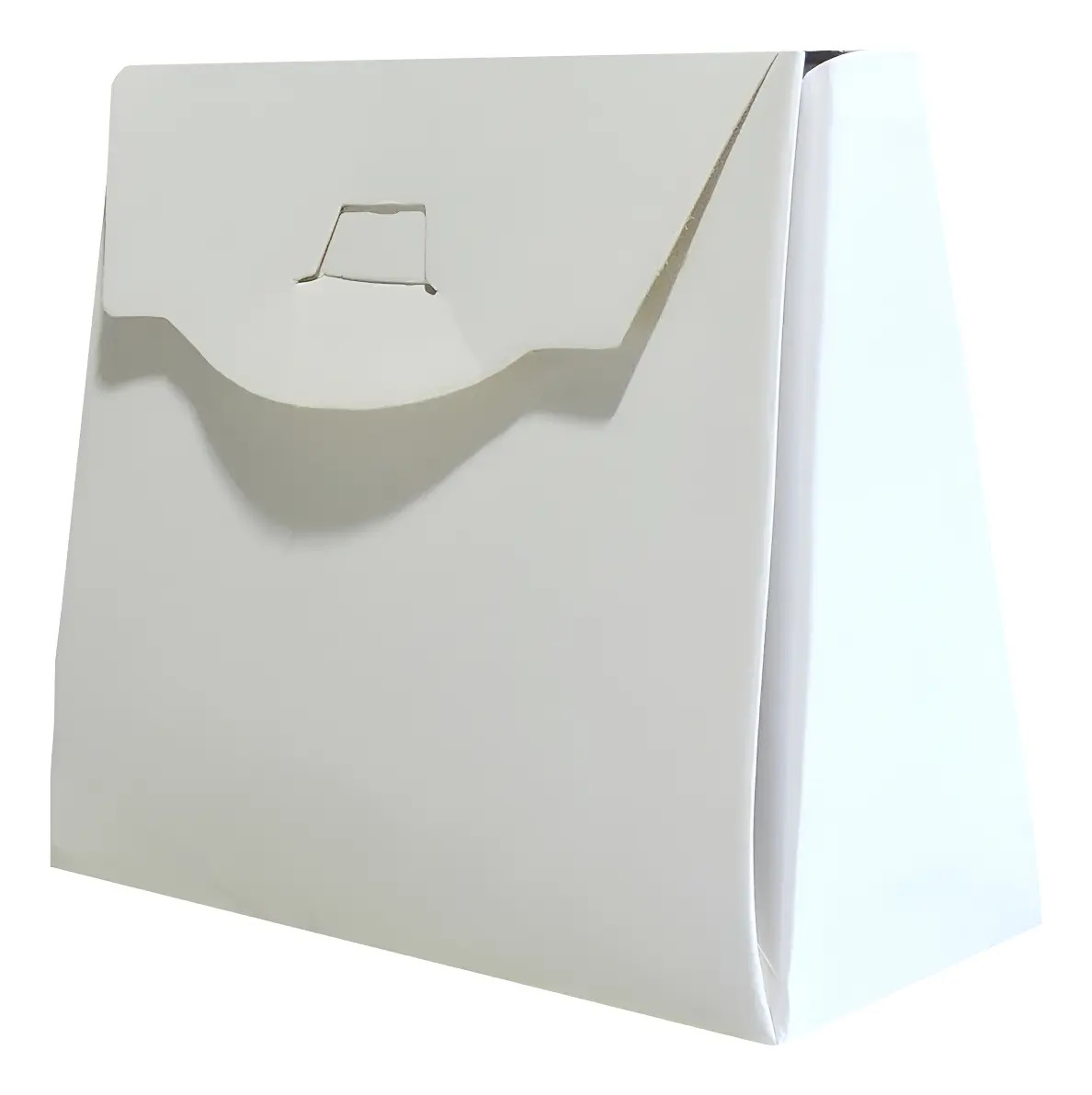 Carterita Maletín Car2 X 50u Packaging Blanco Madera 