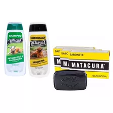 Shampoo Antisséptico+ 1 Condicionador+ 3 Sabonetes Matacura