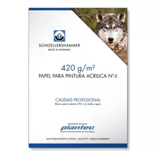 25 Schoeller Papel P Acrilico Acuarel 420g N4 Aleman Cuota