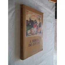 Livro - A Biblia Do Jovem - Verbo Divino