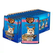 Pack X 22 Sobres Ganador Recetas Húmedo Para Perros 100g C/u