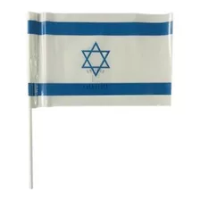 Bandera De Israel Plastica 15x25cm ** X100 U ** 