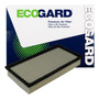 Ecogard Xa5301 Premium Filtro De Aire Para Motor Ford Freest