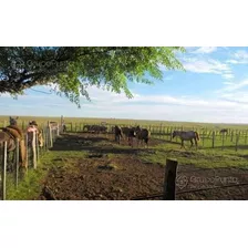 Campo En Venta - Artigas