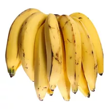 1 Muda De Banana Da Terra Anã - Profissional + Manual 